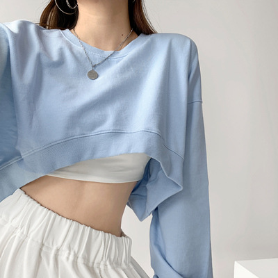 Picture of Short Sweater Women's Autumn Korean Solid Color New Loose Navel Round Neck Women's Foreign Trade Top Women's Fashion Wholesale