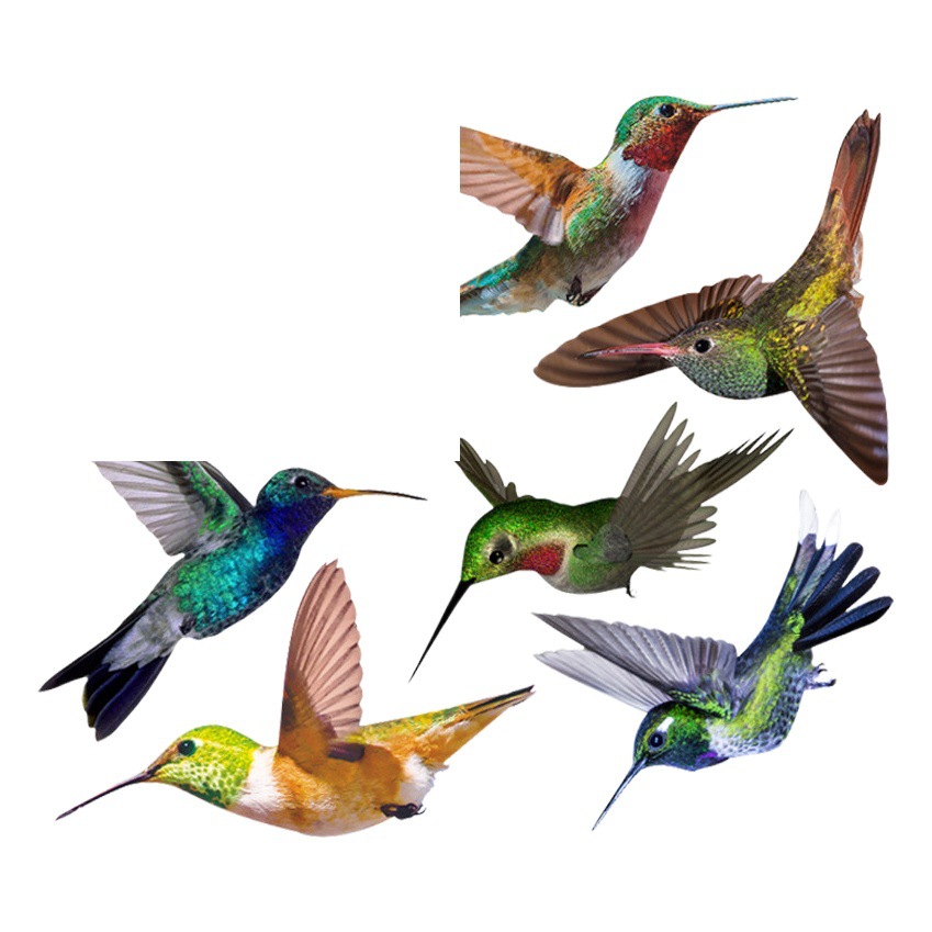 Spring Hummingbird Wall Stickers Living Room Glass Background Decoration Anti-collision Warning Glass Window Sticker Removable Wall Decoration