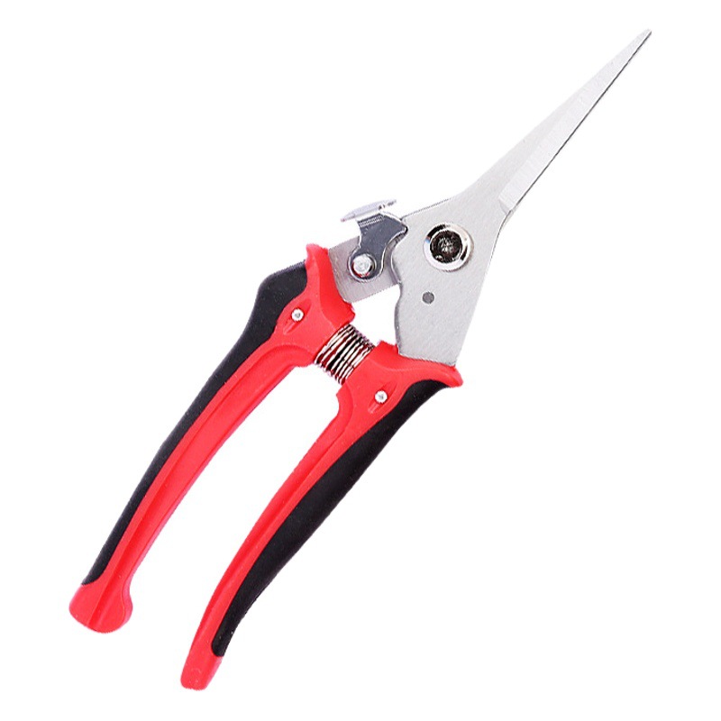 Factory supply manganese steel thin flower scissors fruit scissors grape picking scissors flower arrangement scissors pruning scissors picking scissors