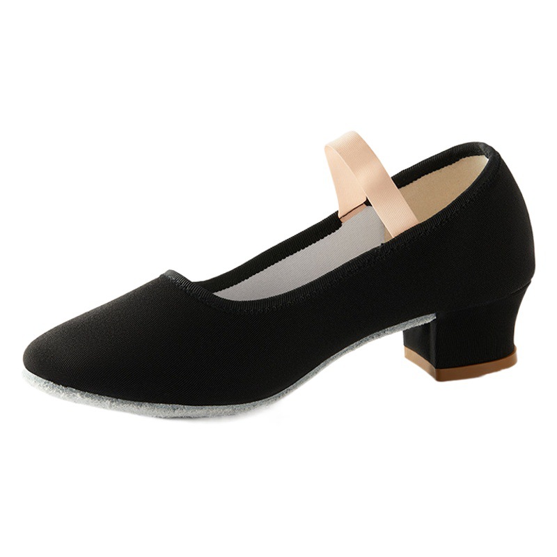 Dance Shoes Children's Professional Body Training Shoes Adult Character Dance Shoelaces with Soft Sole Ethnic Dance Test Teacher Shoes