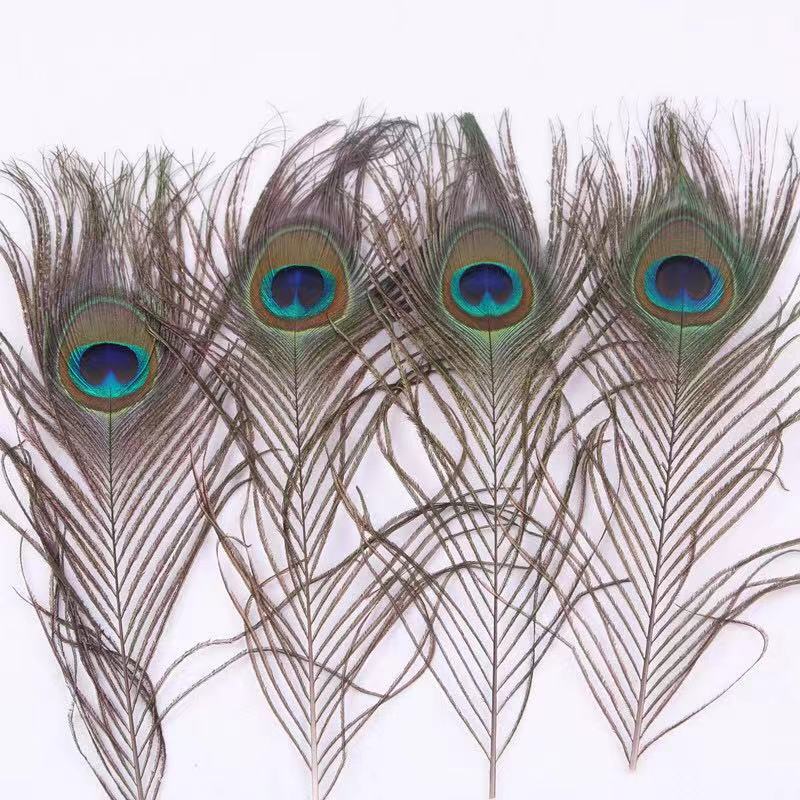 25-30cm big eye peacock hair DIY home decoration feather clothing headdress material peacock hair