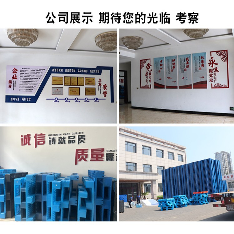 Picture of Wholesale Thickened Moisture-Proof Mesh Plastic Pad Warehouse Cargo Forklift Special Pallet Logistics Plastic Pallet