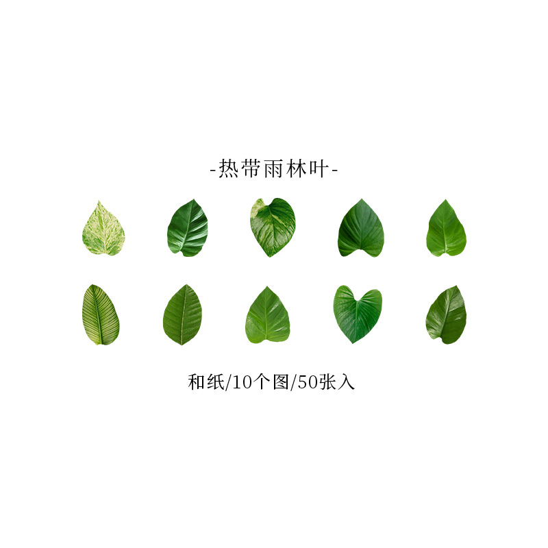 Picture of A Beautiful Day Tape Champs Elysees Leaves Series Creative Plant Hand Account DIY Decorative Stickers 8