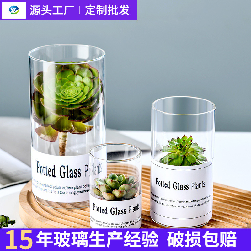 Simple Desktop Glass Bottle Mini Succulent Micro Landscape Hydroponic Plant Fish Tank Glass Jar Transparent Vase Wholesale
