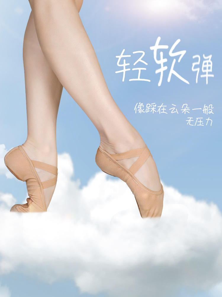 Dance Shoes Stretch Cloth Dance Shoes Women's Soft Sole Practice Shoes Adult Children Girl Cat Claw Shoes Body Ballet Shoes