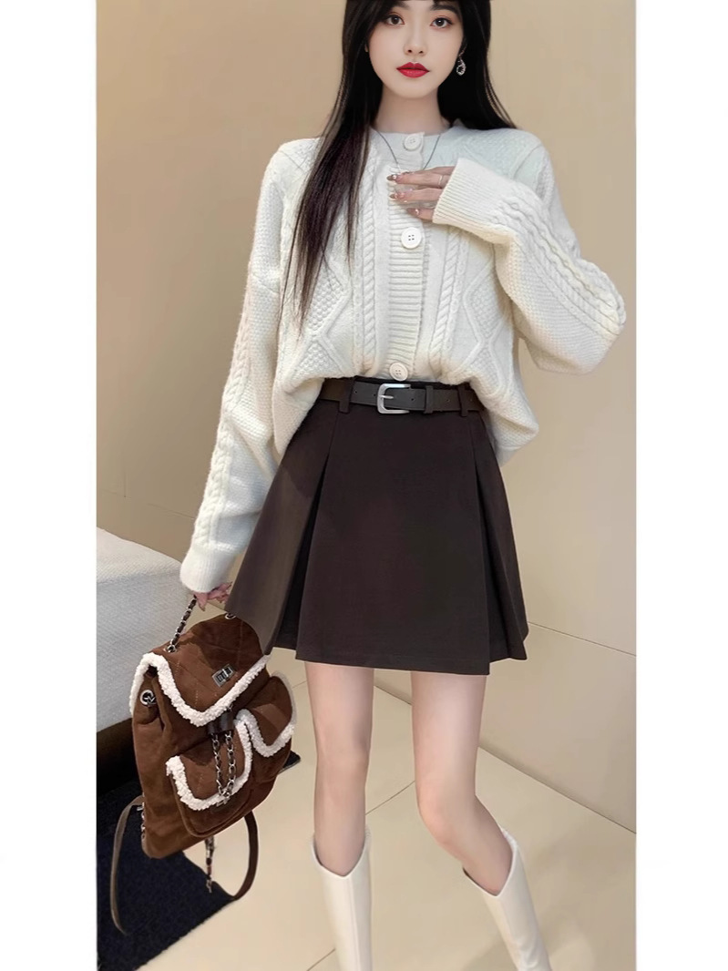 Grey Woolen Skirt Women's Autumn and Winter 2024 New Arrival Small Pleated Skirt A- Line Hip Skirt High Waist Skirt
