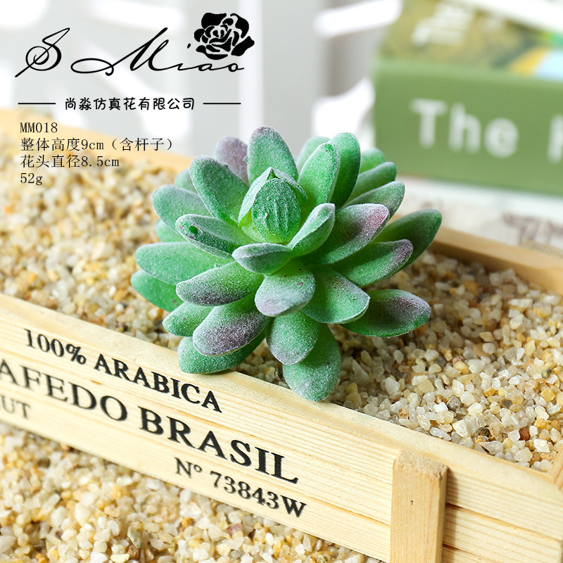 Picture of 003 Flocked Green Succulent Flower Head Creative DIY Supplies Bonsai Accessories Artificial Flower Jinhua Factory Direct Supply