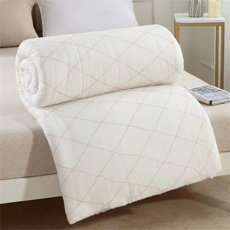 Picture of Single quilt quilt double bed quilt core dormitory bedding winter quilt winter wholesale hot