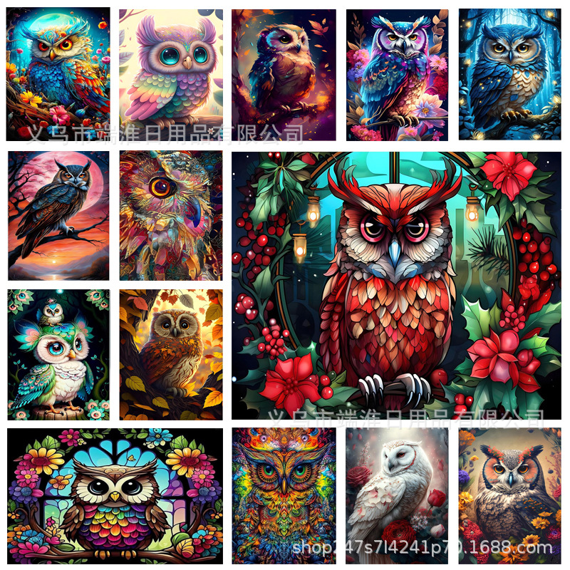 2024 New Amazon 5D Diamond painting full diamond owl Animal Flower letter diy diamond embroidery decoration