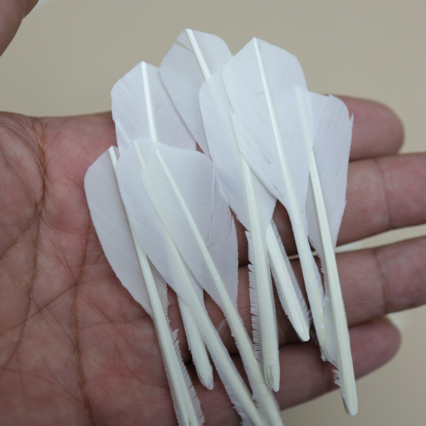Picture of Wholesale natural badminton pads, goose feather DIY, white badminton match apparel accessories, accessories, and materials