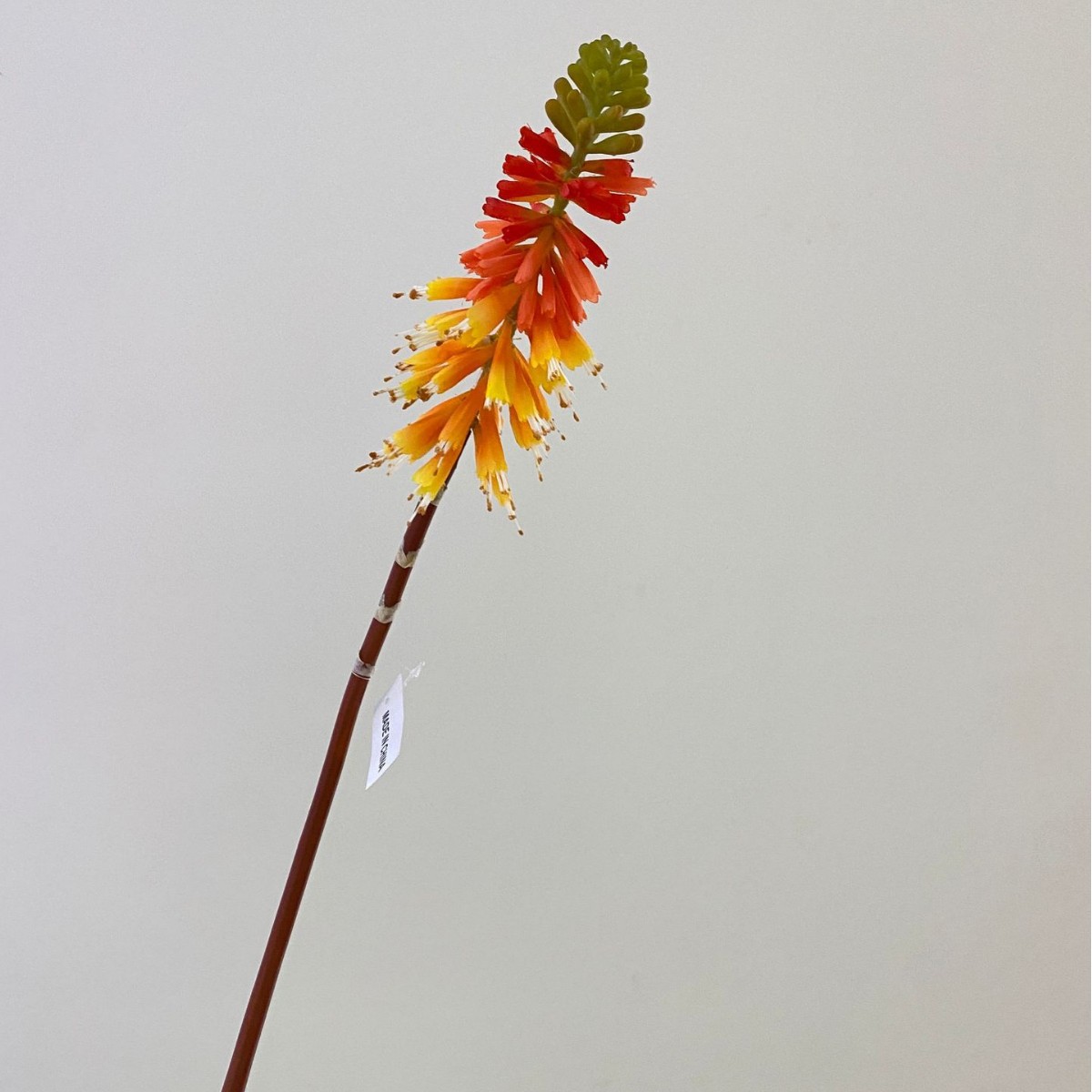 Picture of Torch Lily Simulation Flower Outdoor Flower Sea Landscape Decoration Props Flower Arrangement Flower Art Shopping Mall Arrangement Wedding Silk Flower