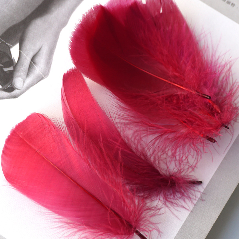 Picture of Color feather DIY floating dyeing goose feather dream catcher wave ball gift box filling decorative materials wholesale