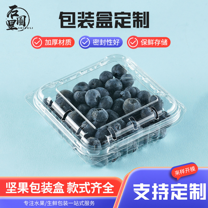 Manufacturer Customized Blueberry Fruit Packaging Box Transparent Supermarket Fresh Peach Crisp Pineapple Plastic Fruit Packaging Box with Lid