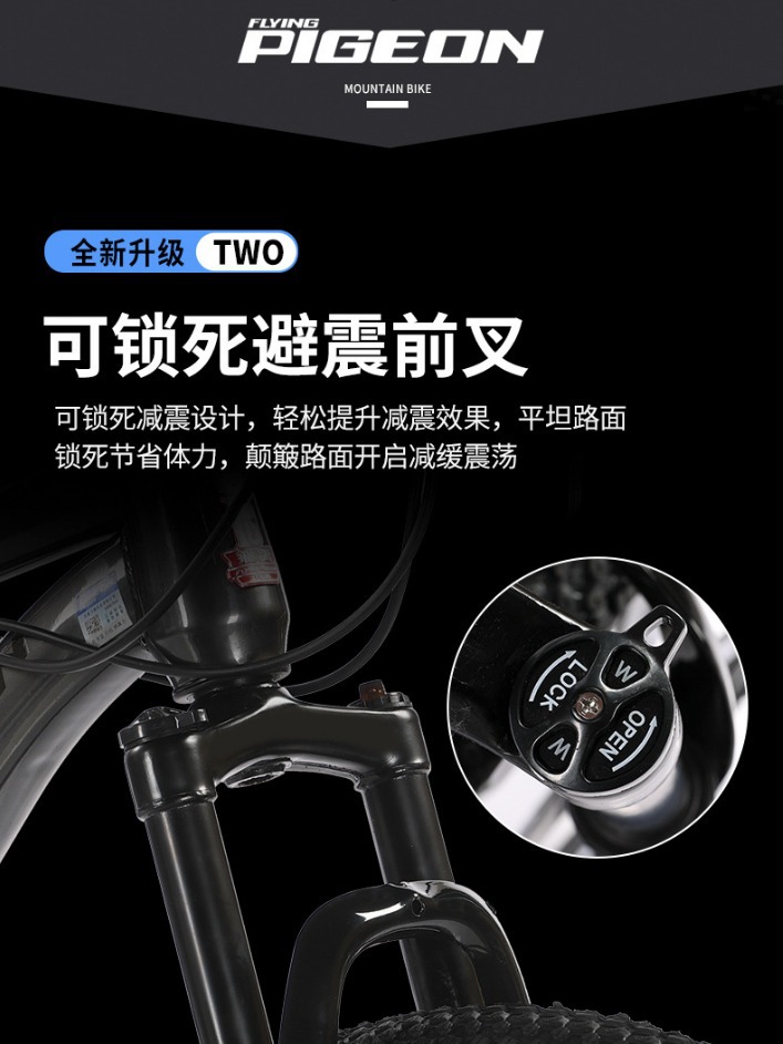 Picture of Flying Pigeon Brand Mountain Bike Men's Variable Speed Off-Road Bike Teenagers Middle School Students Ladies Road Racing Adult