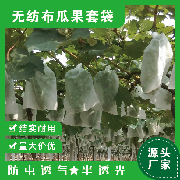 Non-woven grape fruit bag anti-bird and insect bag breathable fruit protection pear bag special wholesale