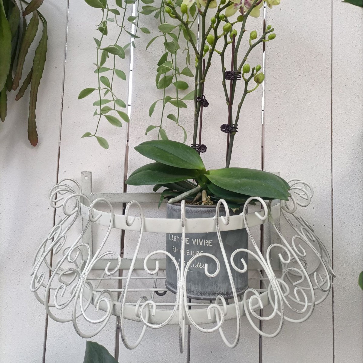 Foreign Trade Amazon Explosions Villa Courtyard Iron Wall Lace Semi-circular Flower Rack Homestay Balcony Hanging Flower Pot Rack