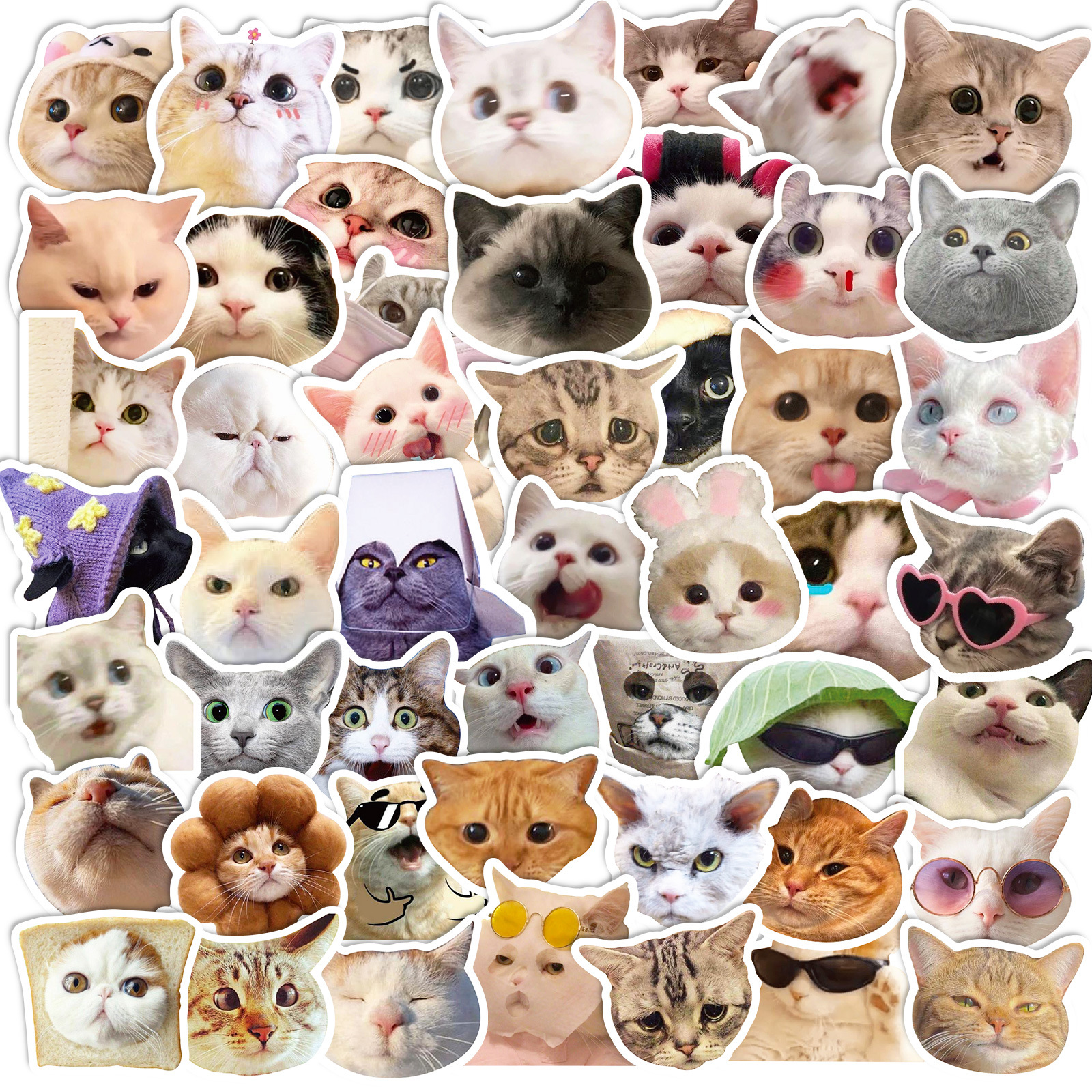 50 cat stickers net red cat expression bag graffiti stickers cross-border cute funny funny cat head stickers