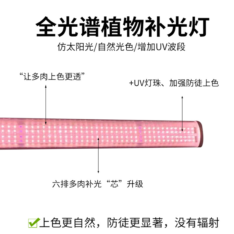 Picture of T20 full spectrum outdoor waterproof cross-border succulent colored flower greenhouse fill light outdoor plant growth lamp
