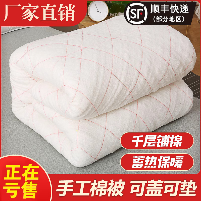 Quilt Student Quilt Winter Quilt Single Cotton Quilt Core Mattress Quilt Mattress Cotton Tilt Quilt Double Long Velvet Spring and Autumn Quilt