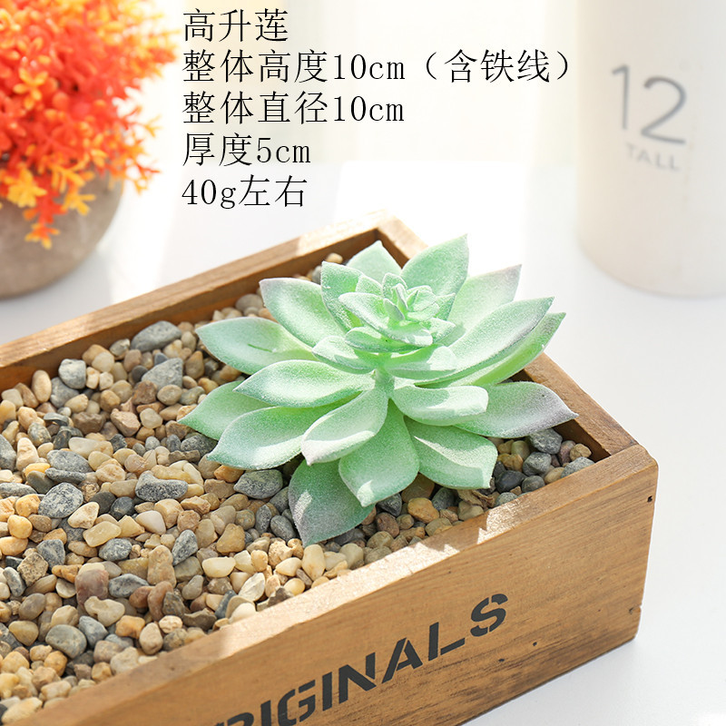 Picture of 003 Flocked Green Succulent Flower Head Creative DIY Supplies Bonsai Accessories Artificial Flower Jinhua Factory Direct Supply