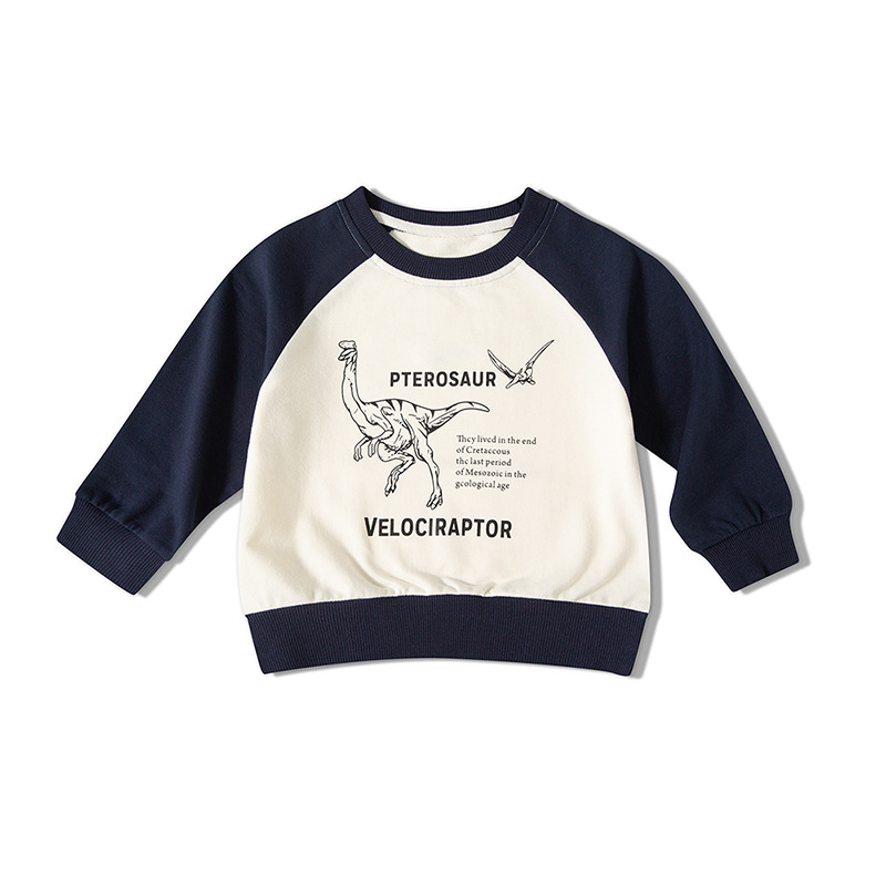 Picture of Cross-border children's clothing live supply autumn fashionable loose thin children's sweater contrast color baby boys' clothes one-piece delivery