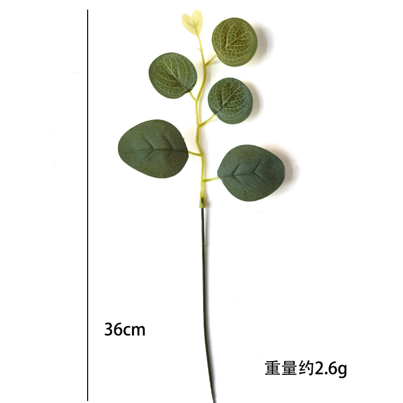 Picture of Amazon Cross-Border Artificial Flower Artificial Eucalyptus Leaf Stem Short Silver Dollar Branch Decorative Leaf Simulated Green Plant Plastic Leaf