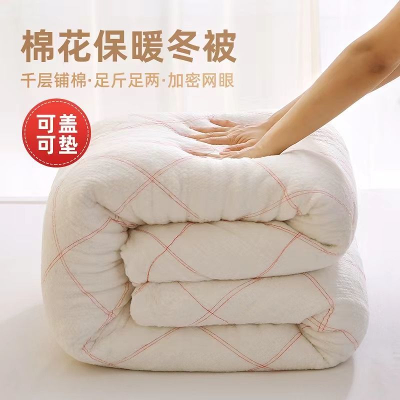 Picture of Single quilt quilt double bed quilt core dormitory bedding winter quilt winter wholesale hot