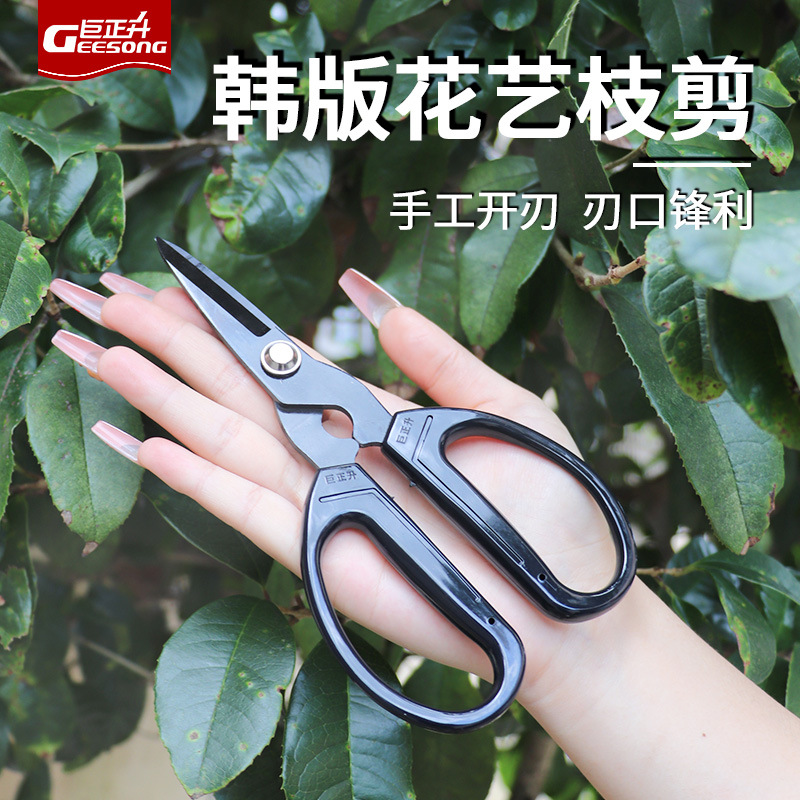 Bud scissors potted plant scissors Korean gardening scissors pruning scissors grape pitaya fruit and vegetable scissors picking prickly ash artifact special scissors
