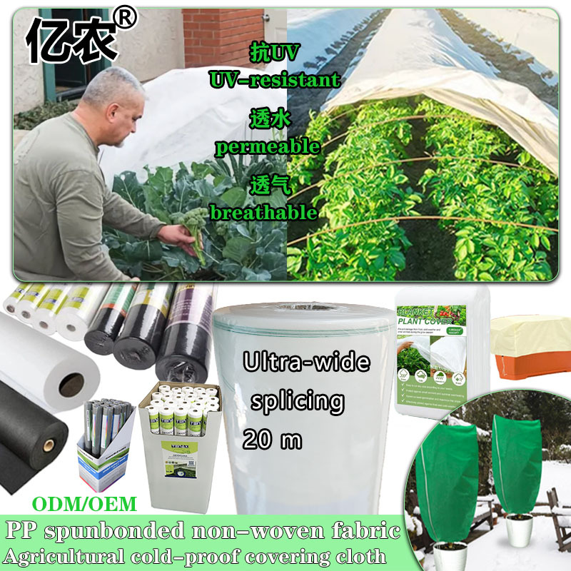 Picture of Cross-Border Supply of Pp White Agricultural Cold-Proof Non-Woven Fabric Insulation, Moisture Permeability, Anti-Aging, Ultra-Wide Splicing Covering Cloth