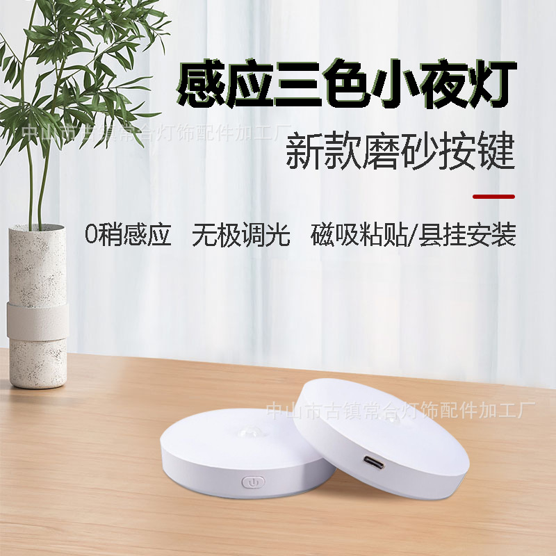 Cross-border induction lamp lights up when people come to the entrance porch corridor old people night magnetic Type-C charging port night light