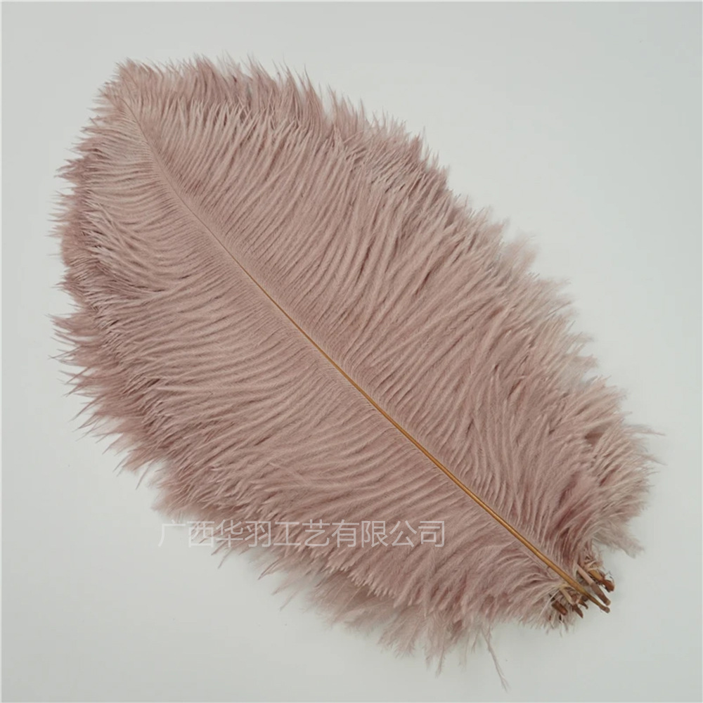 Picture of 10-15cm ostrich hair source factory bouquet wedding decoration feather wall handmade DIY crafts stage clothing