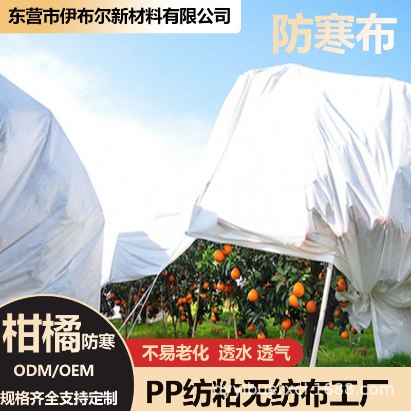Factory direct supply PP nonwoven patchwork, citrus agricultural insulation cover, plant vegetable cold-resistant blanket, in stock wholesale