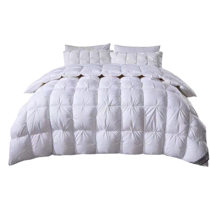 Hilton Five-Star Hotel Duvet 95 White Goose down Spring & Fall Quilt Core Winter Quilt Home Summer Quilt Wholesale