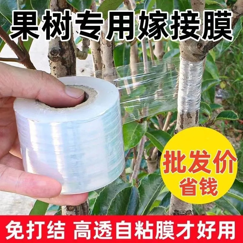Special Grafting Film Small Roll PE Wrapping Film Fruit Tree Grafting Transparent Stretch Film Sapling Wrapping Takeaway Sealing Film