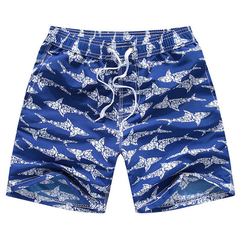 Picture of Children's Beach Pants Big Children's Outdoor Quick-drying Pants Foreign Trade Shorts Beach Swimming Leisure