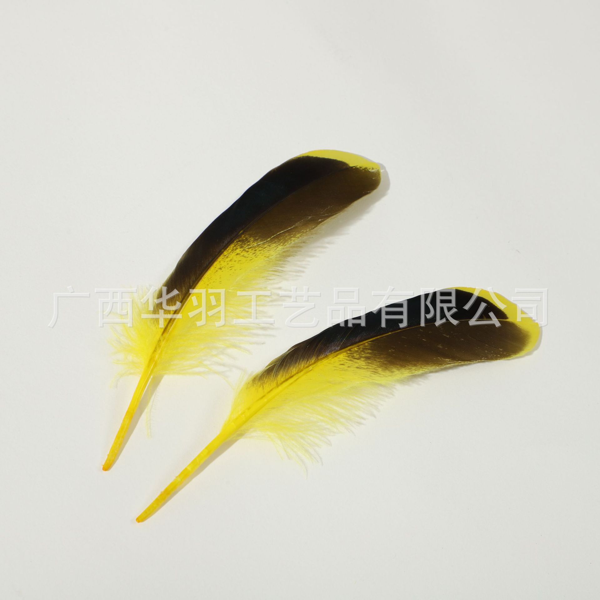 Picture of DIY Feathers, Natural Duck Feathers, Duck Feathers for Jewelry, Indian Headdress, Handmade Craft Decoration Materials, Creative and Natural