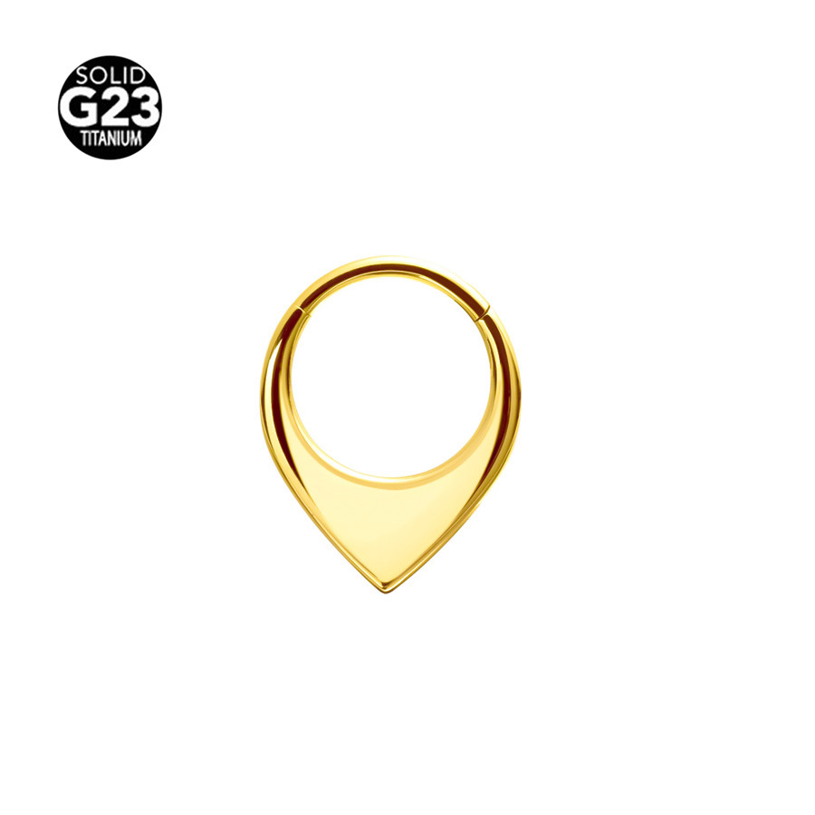 Picture of Cross-border explosions G23 titanium face triangle nose ring earrings 316 seamless nose ring ear ring body piercing jewelry