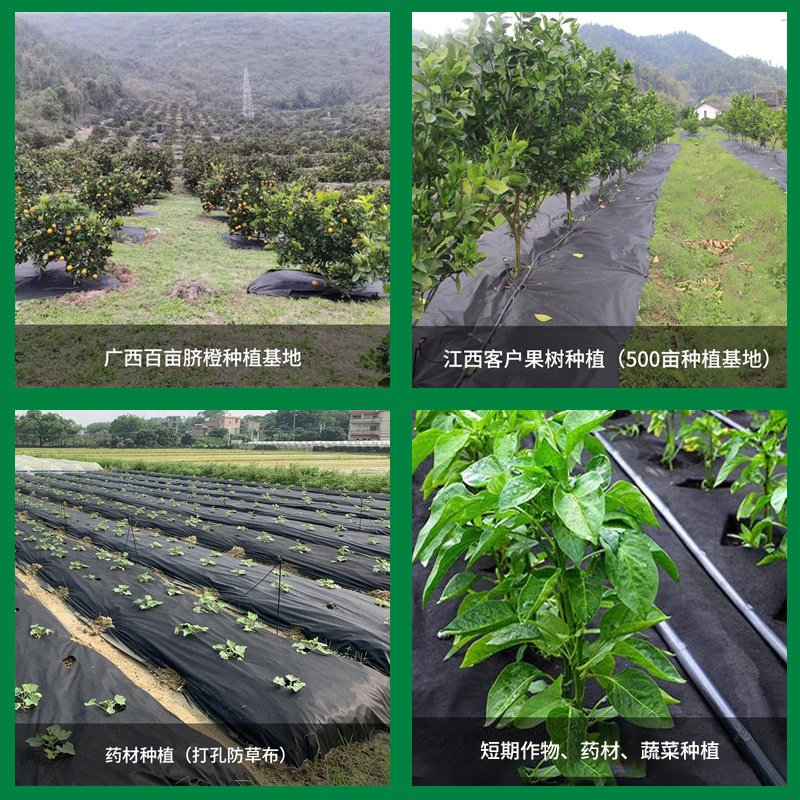 Picture of [Anti-grass cloth] Black anti-grass weeding cover non-woven fabric slice perforated breathable permeable Orchard anti-grass cloth