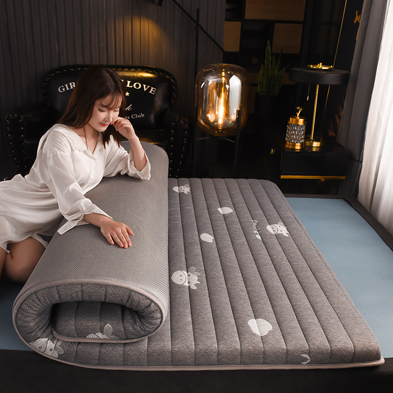 Picture of Factory direct latex mattress memory sponge padded bed mattress tatami cushion student dormitory mattress wholesale