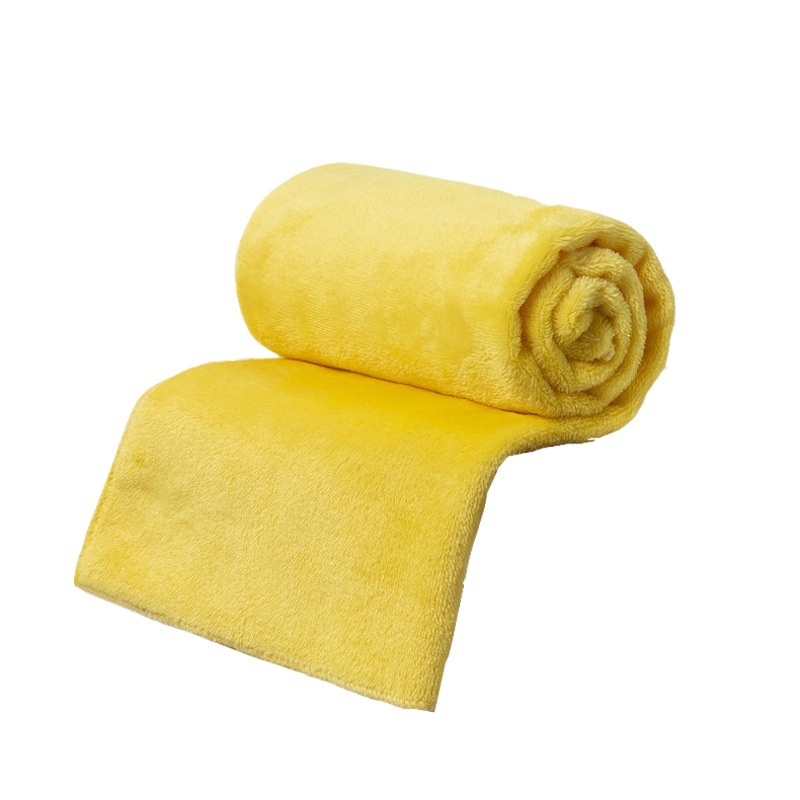 Autumn and Winter Coral Velvet Blanket Single Layer Plain Blanket Amazon Best Selling Pure Color Pet Blanket Flannel Blanket