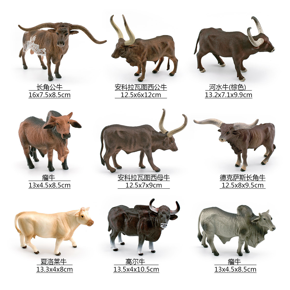 Picture of Source manufacturer simulation Texas Longhorn cattle Vatusi cow tumor cattle Charolais cattle Gore cattle model