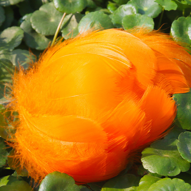 Picture of diy handmade color floating feather goose feather dream catcher wave ball gift box filling decoration materials