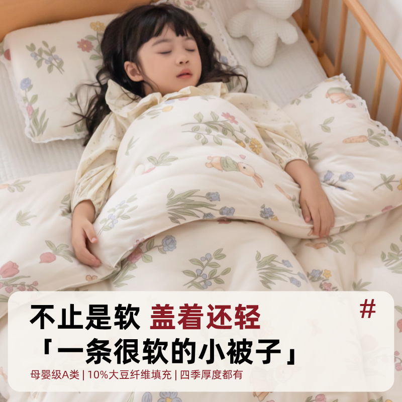 Children's Spring and Autumn Quilt Baby Kindergarten Nap Special Small Quilt Autumn and Winter Thickened Warm Class A Quilt Core