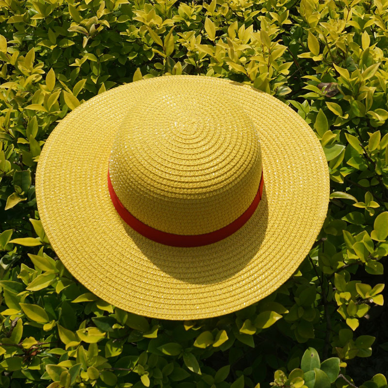 Picture of One Piece Luffy Beach Hat Children's Outdoor Sunshade Straw Hat Male and Female Students Travel Straw Hat
