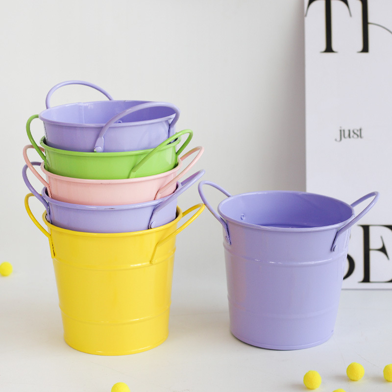 Internet-Famous Fashionable Colorful Double-Eared Small Iron Bucket Creative Flower Arrangement Bucket Gift Flower Bucket Decorative Ornaments Floral Art Wholesale