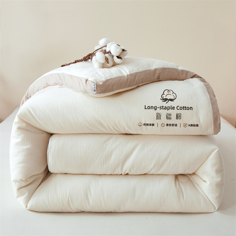 New Xinjiang Long-Staple Cotton 100 Cotton Quilt Spring & Fall Quilt Winter Quilt Quilt Core Live Broadcast Classy Stereo Cotton