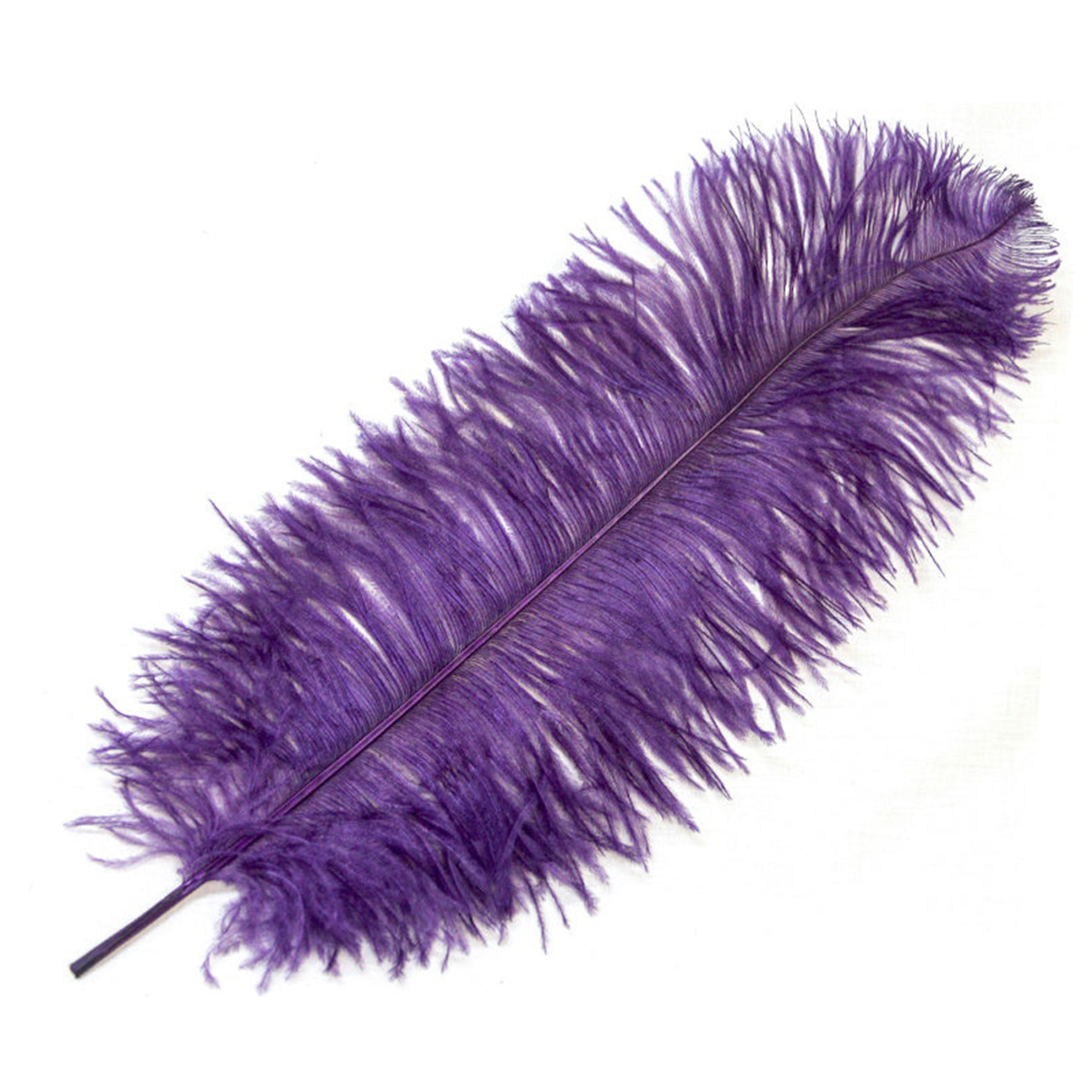 Picture of 35-40cm Ostrich Feather Wholesale Manufacturer Spot Wedding Decoration Feather DIY Crafts Stage Clothing Ostrich Feather
