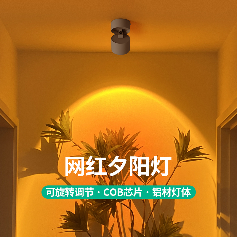Sunset LightsSpotlightsSunset LightsRoom Bedroom Creative Ambient LightsSurface-Mounted Built-in LED Ceiling Lights