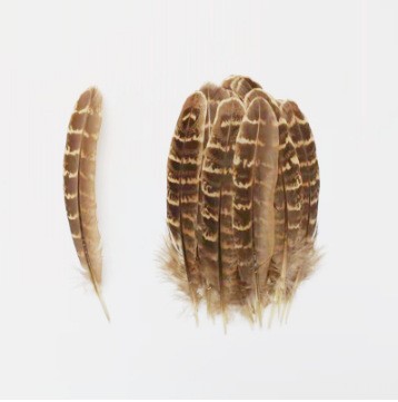 Picture of A large number of manufacturers in stock supply mother mountain chicken nest feather DIY bagging feathers Amazon for real feathers