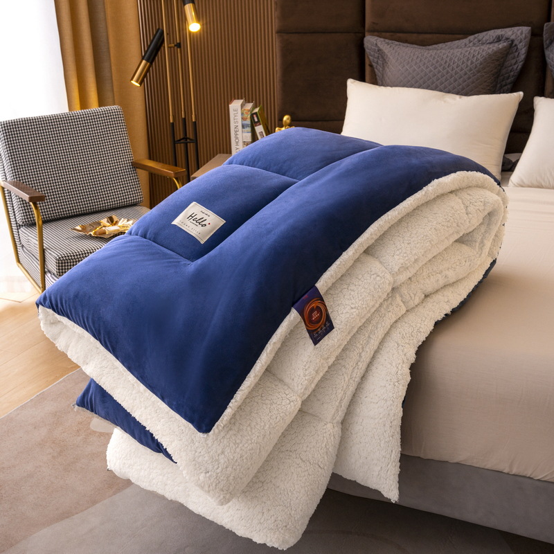 2025 New Lamb Velvet Quilt Wholesale Quilt Thickened Warm Dormitory Single and Double Student Autumn and Winter Blanket Quilt Core